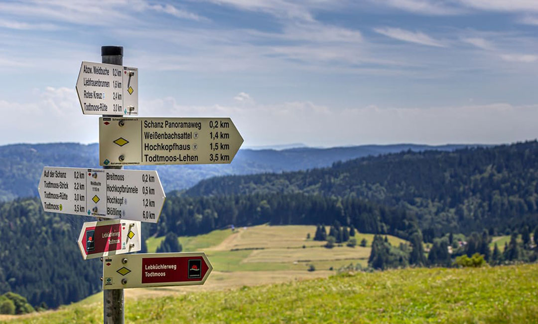 Romantische Reiservaring in Nederland: Een avontuur zonder plannen, onderweg genieten van eten en landschap